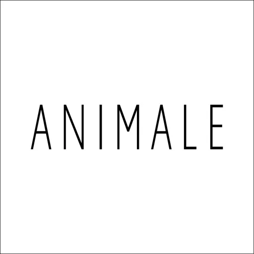 Animale - Moda Feminina icon