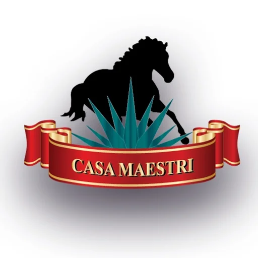 Casa Maestri icon