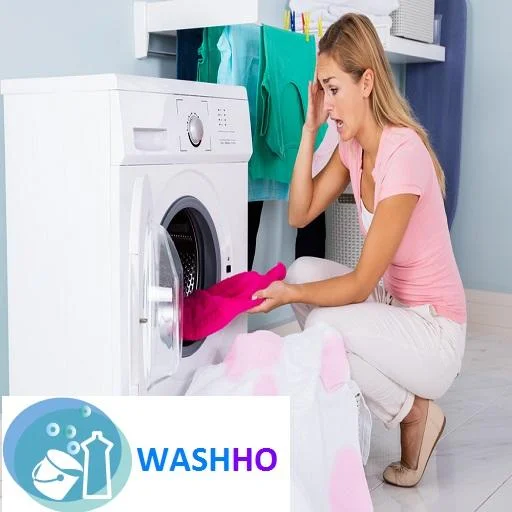Washho - On Demand Cleaning Se icon