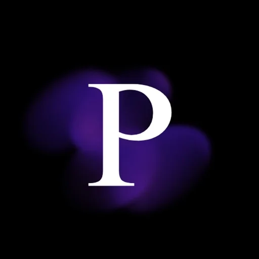Privee AI - Chat, Talk, Play icon