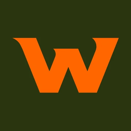 Waldo Solutions icon