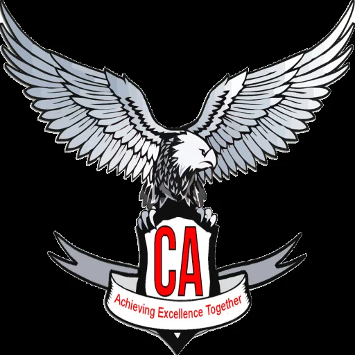 CA Test Series - An Online Tes icon
