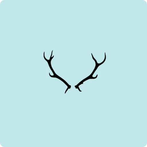 The Decor Kart icon