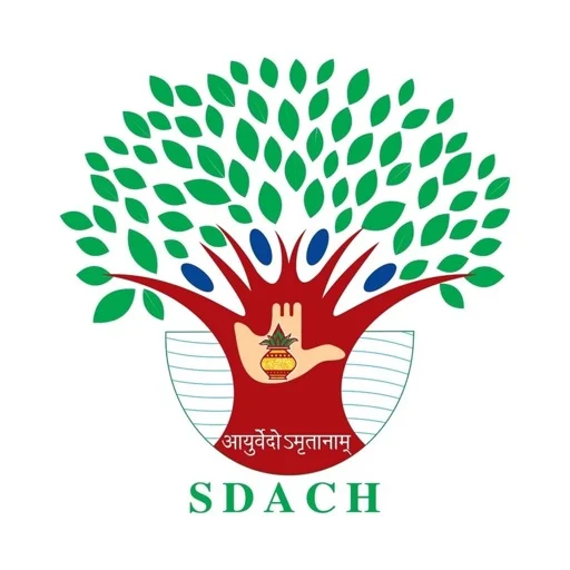 SDACH icon