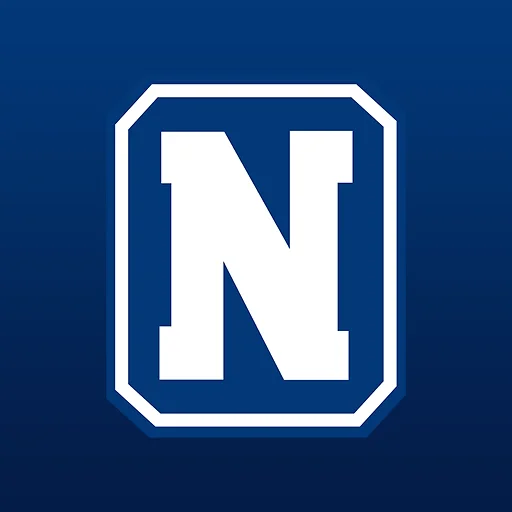 Nestor Online icon
