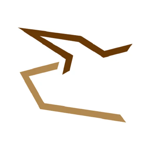 BUFFALOEX icon
