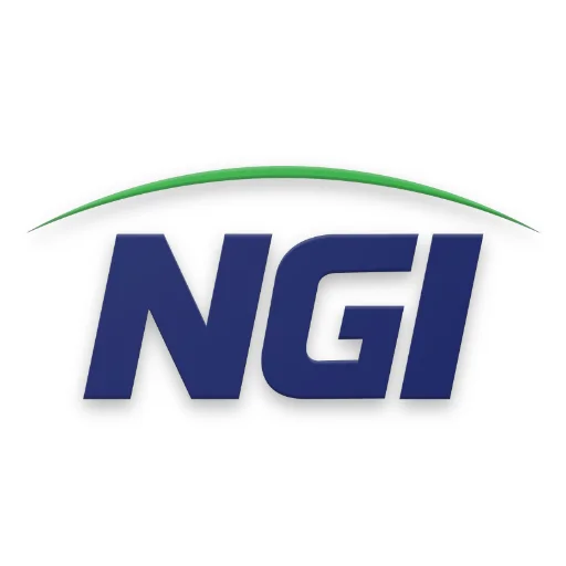 NGI icon