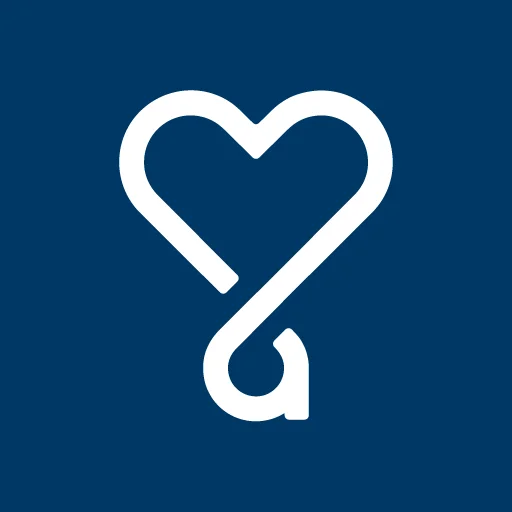 kaksi icon
