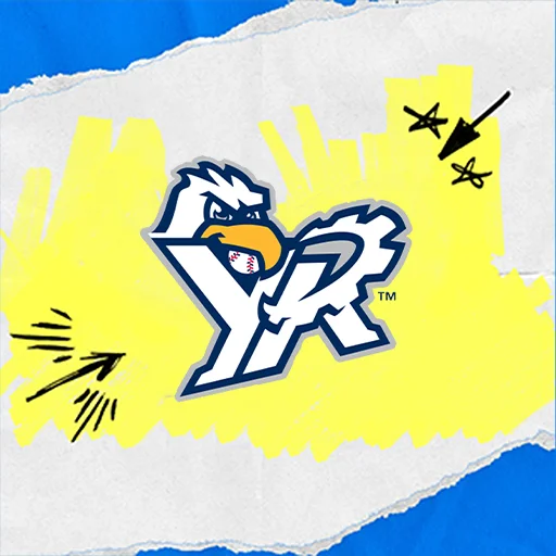 York Revolution icon