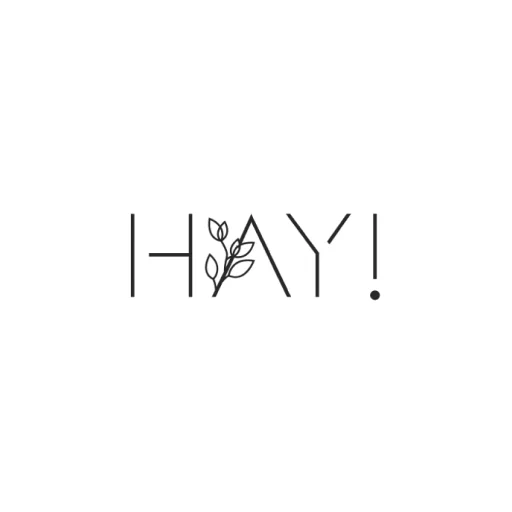 HAY! icon