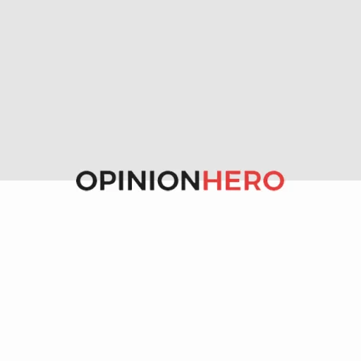 OPINION HERO - Market research icon