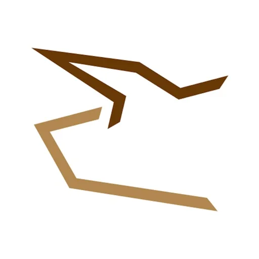 BUFFALOEX icon