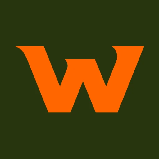 Waldo Solutions icon