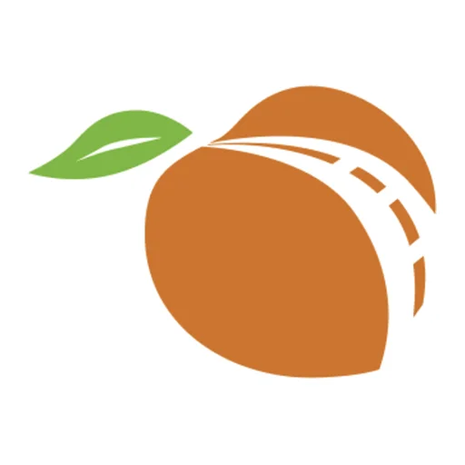 Peach Pass GO! icon