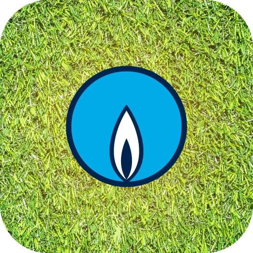 Towngas icon