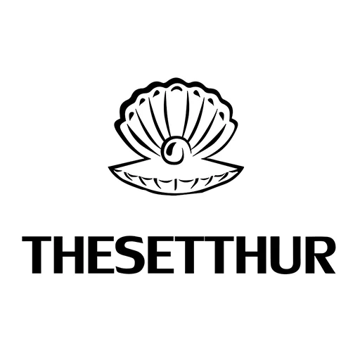 Thesetthur icon