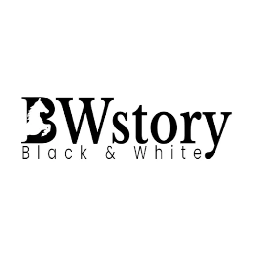 BWstory icon