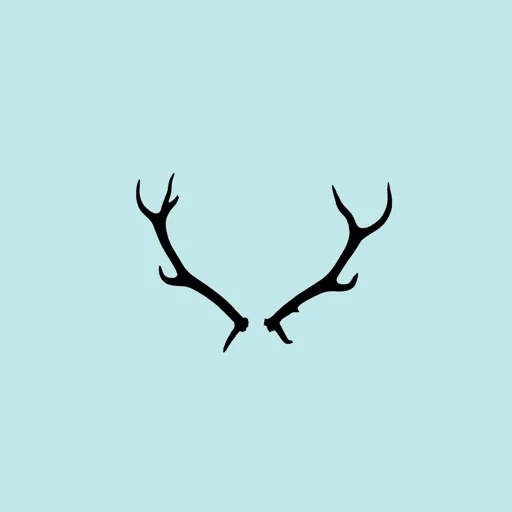 The Decor Kart icon