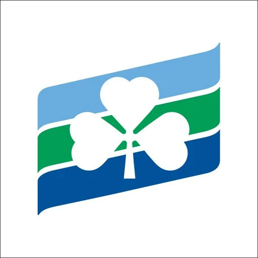 Irish Ferries icon