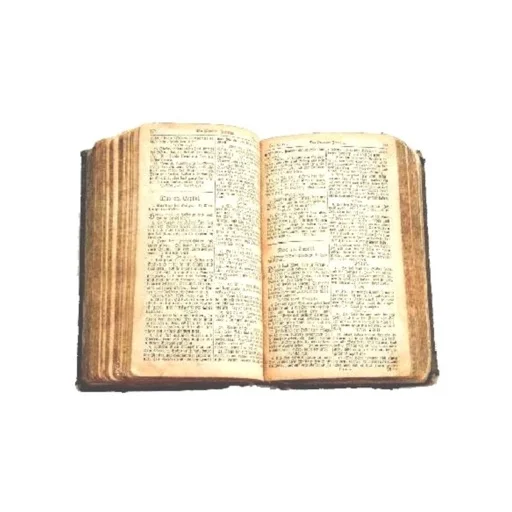 Buchfreund icon