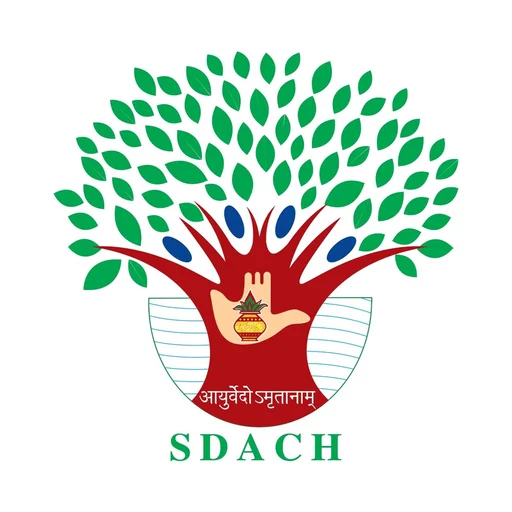 SDACH icon