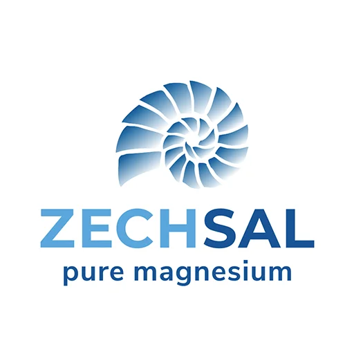 Zechsal icon