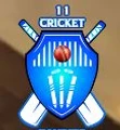 11 Cricket Pandits
