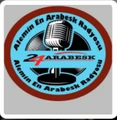 24 Arabesque logo