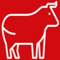 2Bulls logo