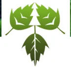 3GreenTree logo