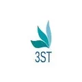 3ST logo
