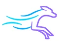 4Dvets logo