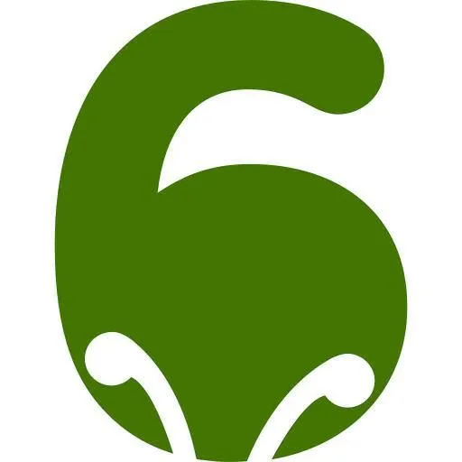 6crickets logo