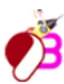 9VN Communication