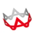 Ateam logo