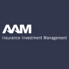 AAM Company logo