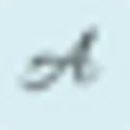 Aarida