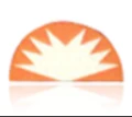 Aark Pharma