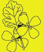 Abil Oils