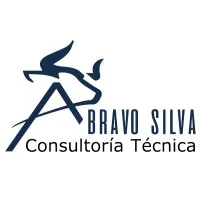 ABS Consultor logo