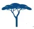 Acacia Venture Capital Partners logo