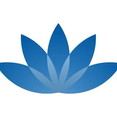 Access Bridge Ventures logo