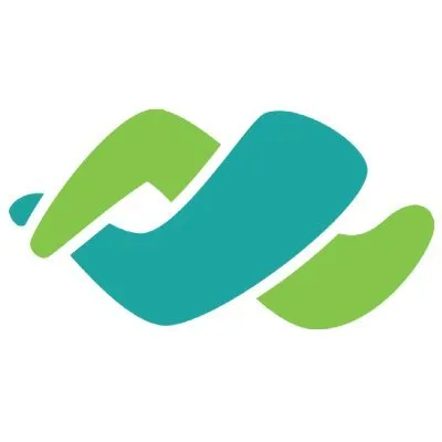 Access Networks