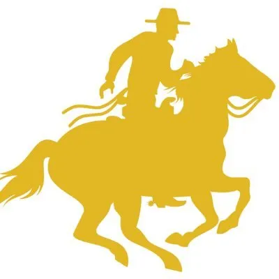 Access Venture Partners logo