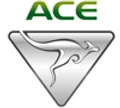 ACE-EV Group logo
