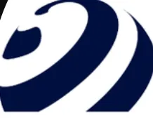 ACE International  Consultants logo