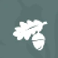 Acorn Fabrics logo