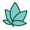 Acute on Chronic logo