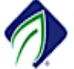 ADM SAO logo