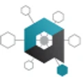 Advance Web Software
